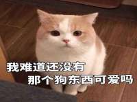 东莞市复鼎织造实业有限公司