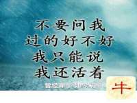 东莞市复鼎织造实业有限公司