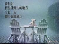 东莞市复鼎织造实业有限公司