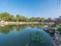 东莞市复鼎织造实业有限公司