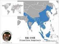 东莞市复鼎织造实业有限公司