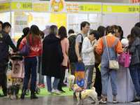 东莞市复鼎织造实业有限公司