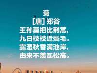 东莞市复鼎织造实业有限公司
