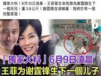 东莞市复鼎织造实业有限公司