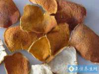 东莞市复鼎织造实业有限公司