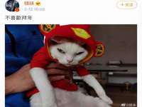 东莞市复鼎织造实业有限公司